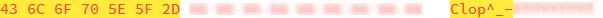 CL0P Ransomware_Encrypted file marker_4