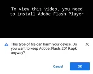 Cerberus _4
