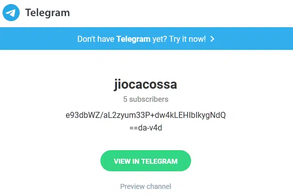 Raccoon Stealer example telegram user details