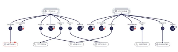 C2 analysis of Cyberint's Forensic Canvas module 