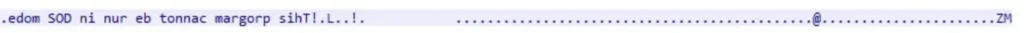  Reversed PE prefix 