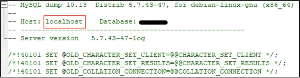 Figure 10 - mysqldump metadata.