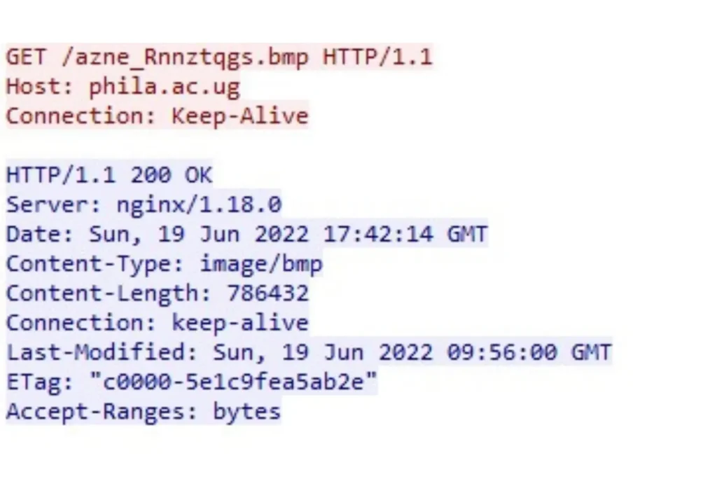 Image/BMP headers, as captured in the network communications 