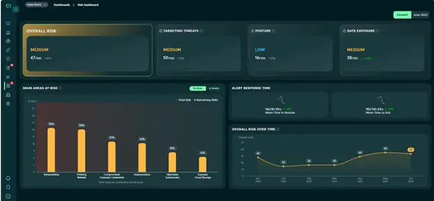 risk dashboard